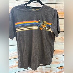 Wonder Nation Charcoal Tee with Colorful Stripes